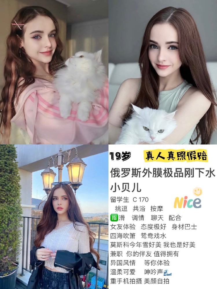 小贝儿